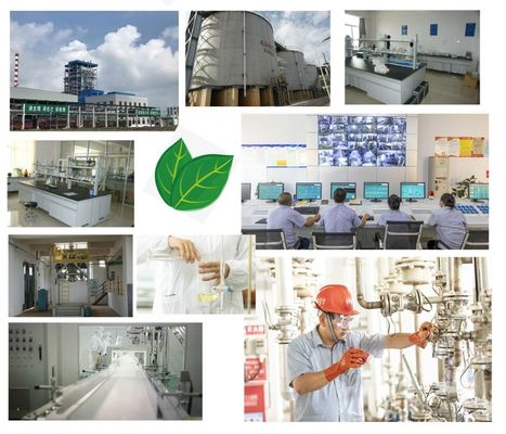 Affordable Sodium Bi Carbonate Powder with EINECS No. 205-633-8 and CAS No. 144-55-8